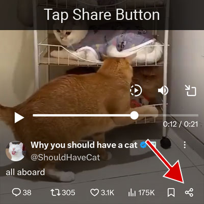 Tap on the Share button