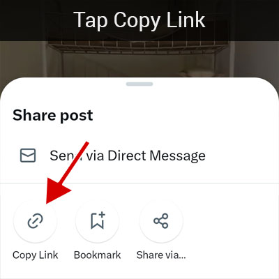 Tap on the Copy Link